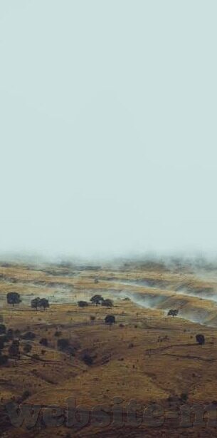 草莓视频丝瓜app免费麻豆-追求健康安全的网络环境