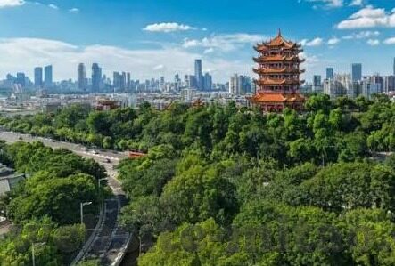 国产糖心vlog小桃-国产糖心Vlog，小桃的甜蜜日常与视频世界探索之旅