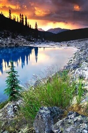 久久人人爽人人爽人人片av麻豆-久久人人爽的背后，网络世界的短暂光辉与深藏的隐患