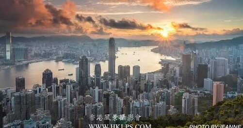 麻豆传媒贴纸-麻豆传媒贴纸，创意与潮流的完美邂逅
