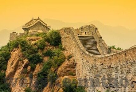 麻豆一区视频在线-麻豆一区之数字化浪潮下的网络奇景