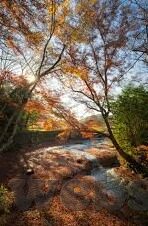 日韩AV电影天堂影音先锋-探索成人娱乐的多元化世界，日韩AV电影与影音先锋的魅力
