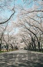 日韩av熟在线观看-日韩影视内容欣赏与文化交流的多元视角