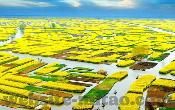 亚洲av麻豆精品-遨游于多元文化交汇——亚洲AV麻豆精品的艺术探索