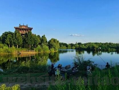 亚洲成人在线视频观看-探索亚洲成人娱乐文化的多元视角