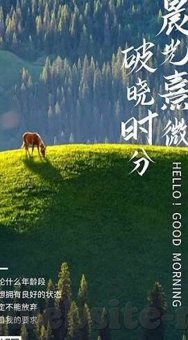 在哪里可以找到麻豆传媒的所有视频-解锁视觉盛宴，探寻麻豆传媒视频的多元汇聚之处
